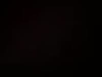 I am bisexual, I love licking a pussy and also a good cock.
Lovers, if you want to have the best moment of your lives, don